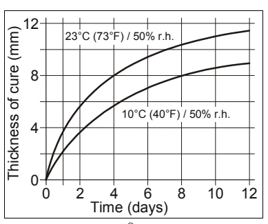 Curing mechanism